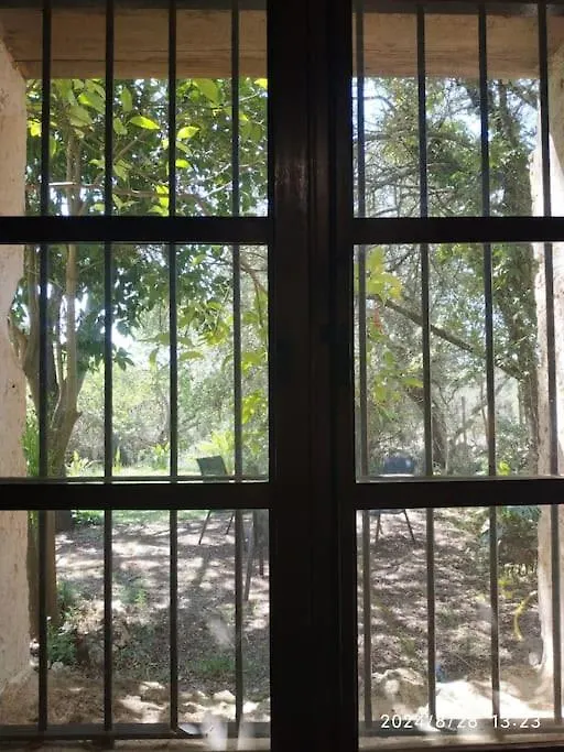 Finca Salzinar Villa Holiday home