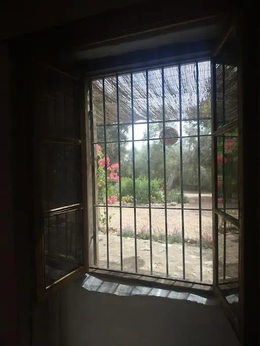 Holiday home Finca Salzinar Villa