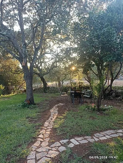 Holiday home Finca Salzinar Villa Spain